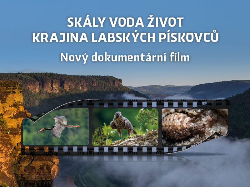 Záhlaví plakátu k propagaci nového filmu o Českém Švýcarsku