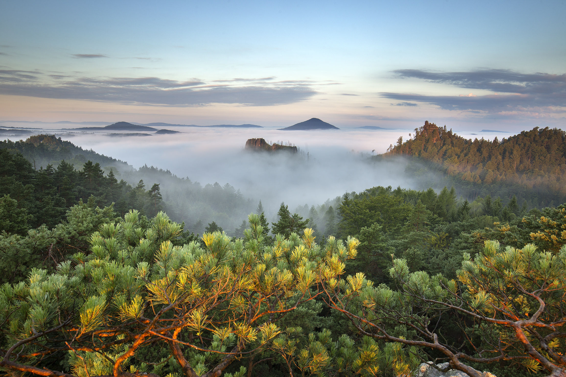 Krajina Národního parku České Švýcarsko. Foto: Václav Sojka