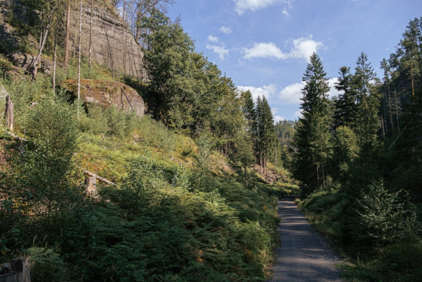 Cyklotrasa Hlubokým dolem v NP České Švýcarsko. Foto: Marek Král